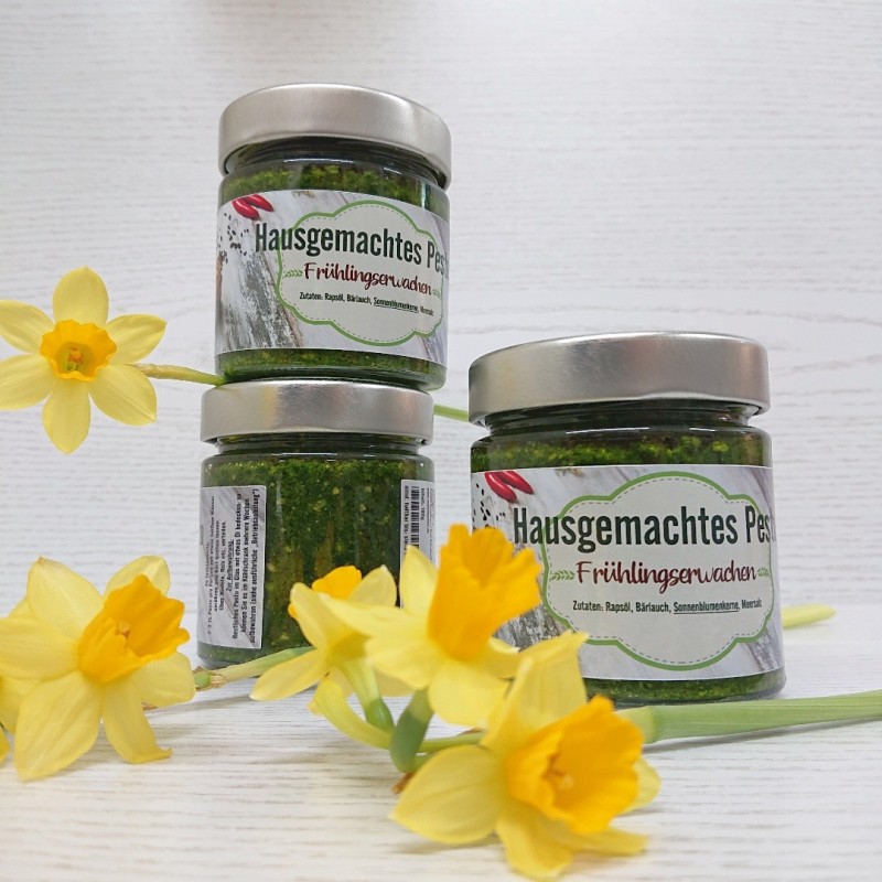 Pesto Frühlingserwachen