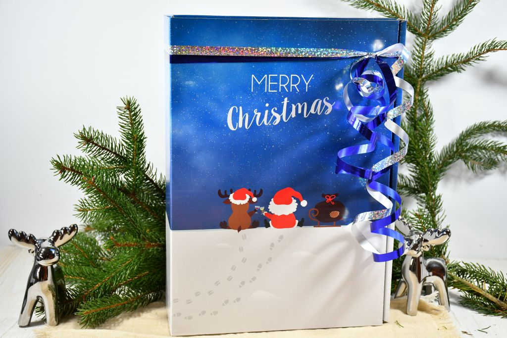 Geschenk Rentier + Santa